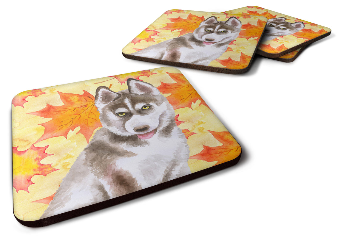 Siberian Husky Grey Fall Foam Coaster Set of 4 BB9957FC - the-store.com