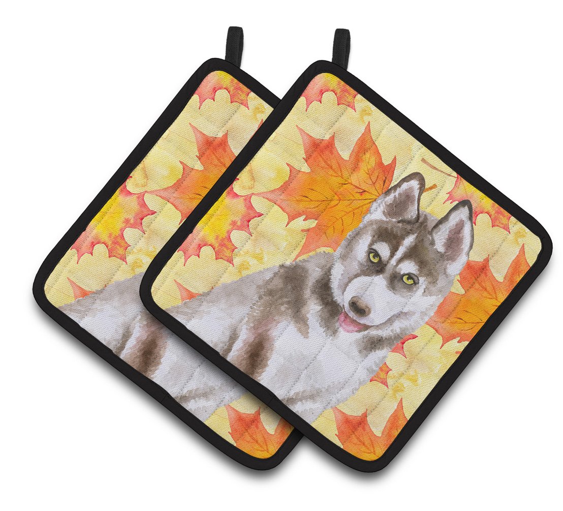 Siberian Husky Grey Fall Pair of Pot Holders BB9957PTHD by Caroline&#39;s Treasures