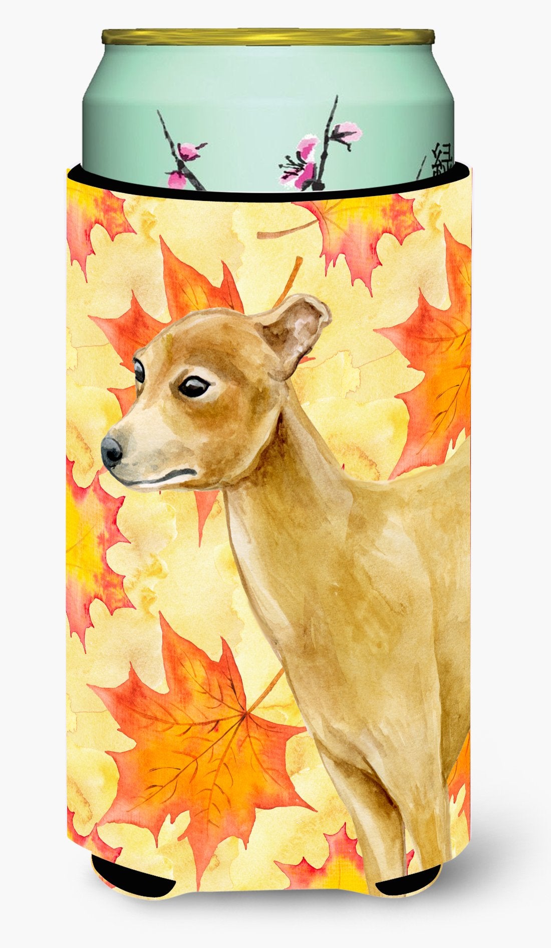 Italian Greyhound Fall Tall Boy Beverage Insulator Hugger BB9959TBC by Caroline&#39;s Treasures