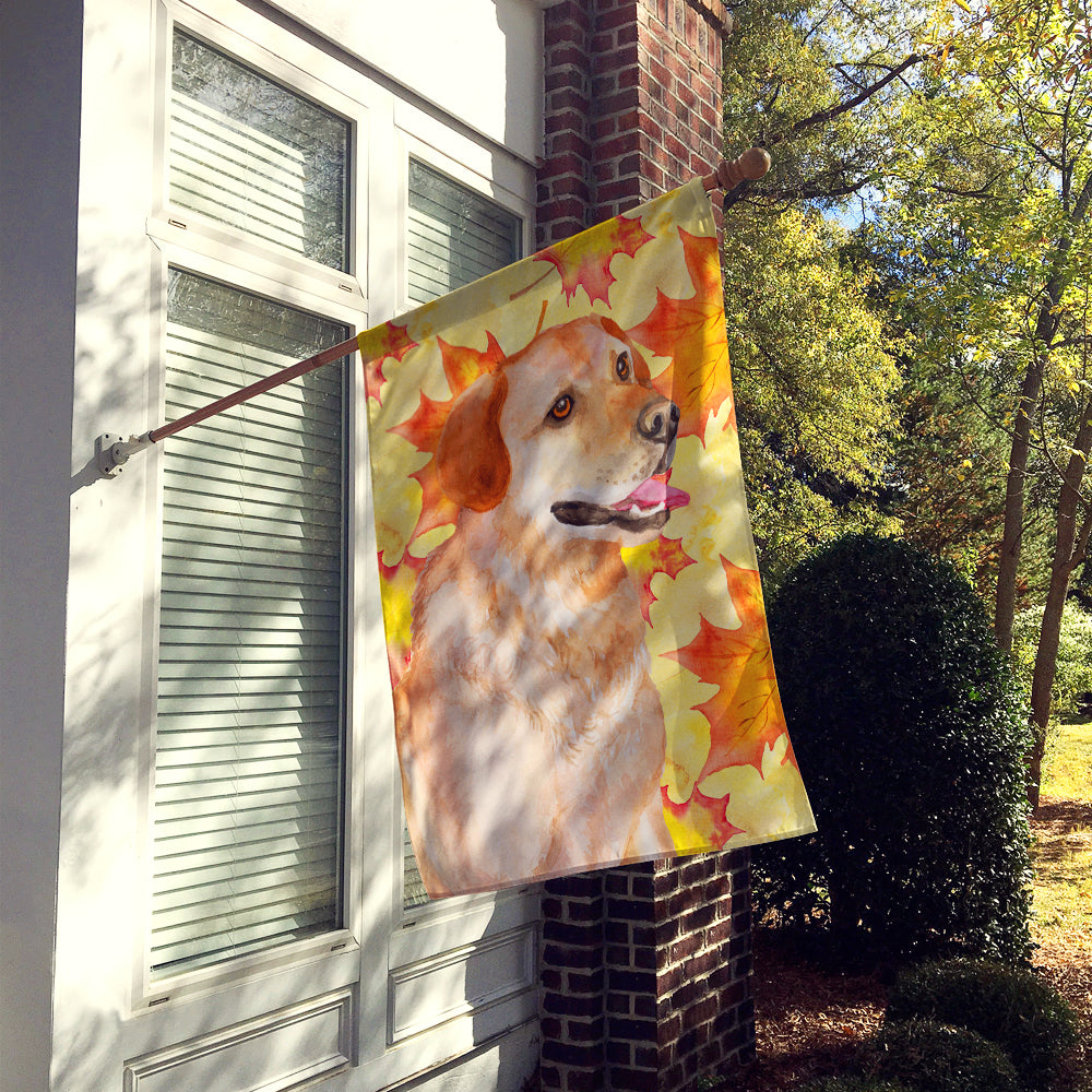 Labrador Retriever Fall Flag Canvas House Size BB9975CHF  the-store.com.