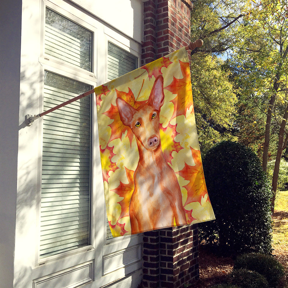 Pharaoh Hound Fall Flag Canvas House Size BB9976CHF  the-store.com.