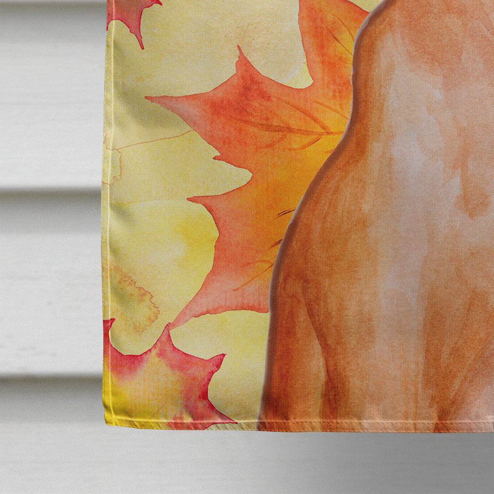 Pharaoh Hound Fall Flag Canvas House Size BB9976CHF  the-store.com.