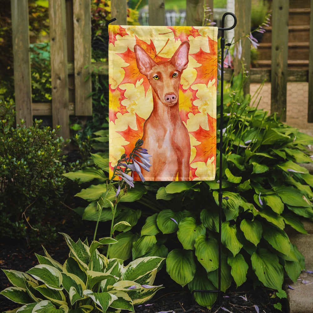 Pharaoh Hound Fall Flag Garden Size BB9976GF  the-store.com.