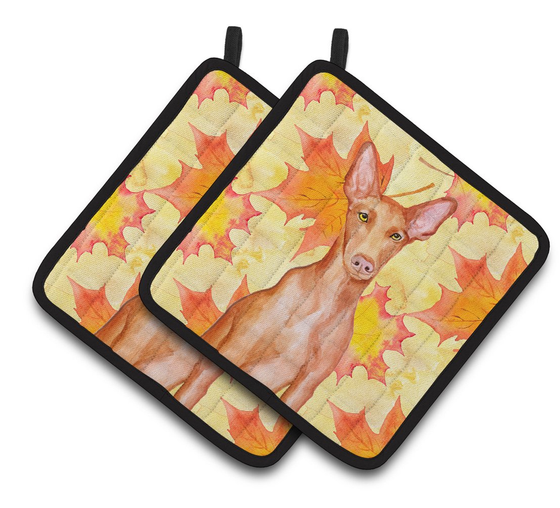 Pharaoh Hound Fall Pair of Pot Holders BB9976PTHD by Caroline&#39;s Treasures