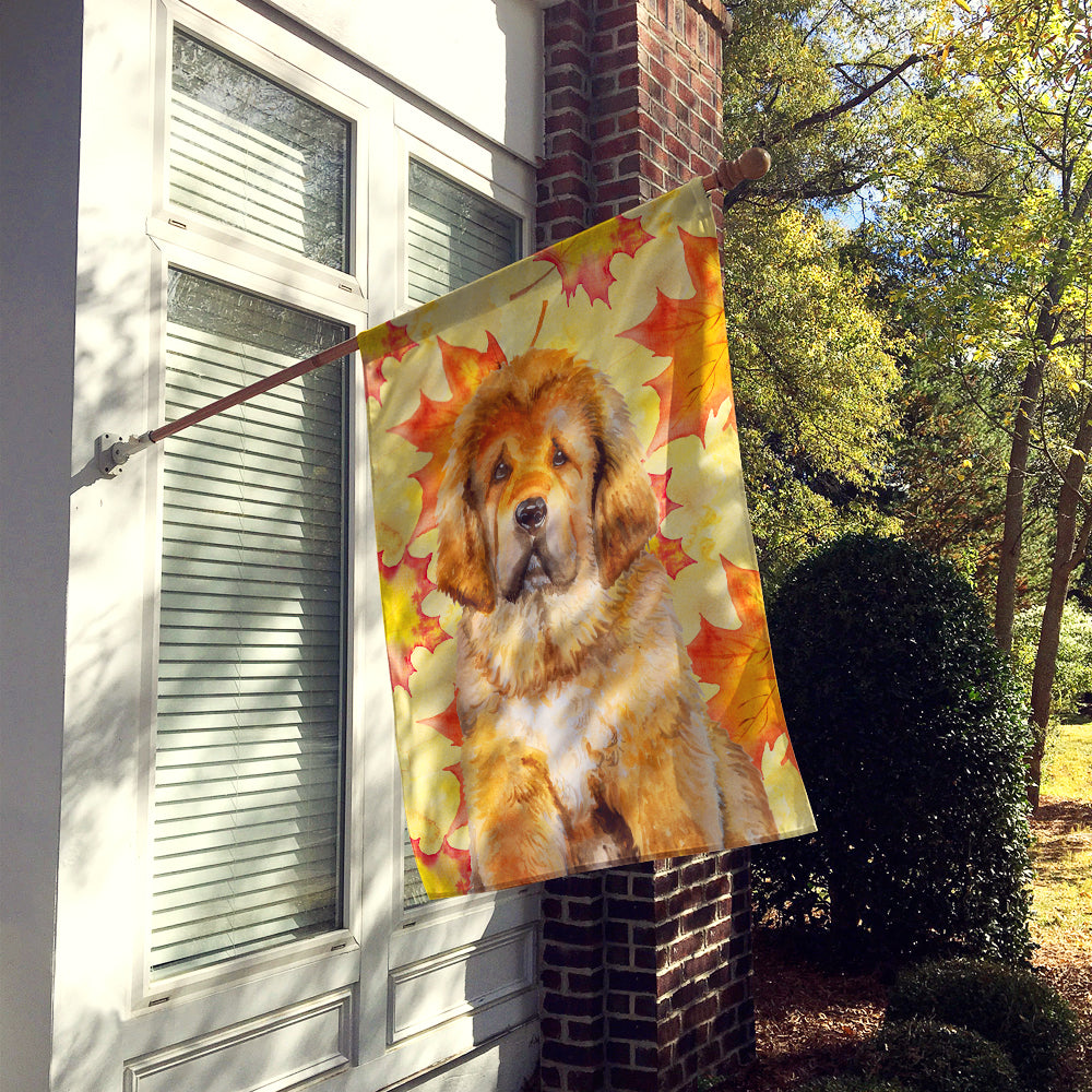 Tibetan Mastiff Fall Flag Canvas House Size BB9982CHF  the-store.com.