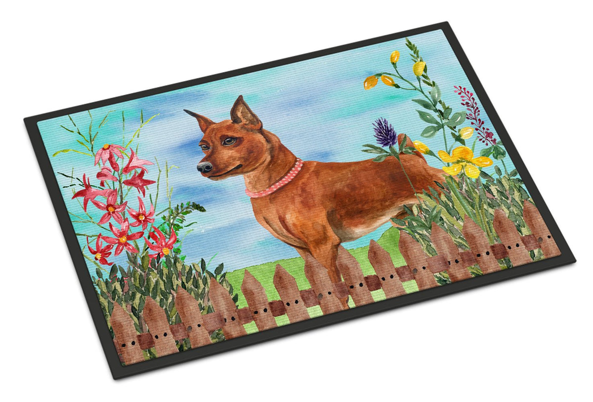 Miniature Pinscher Spring Indoor or Outdoor Mat 24x36 CK1218JMAT by Caroline&#39;s Treasures