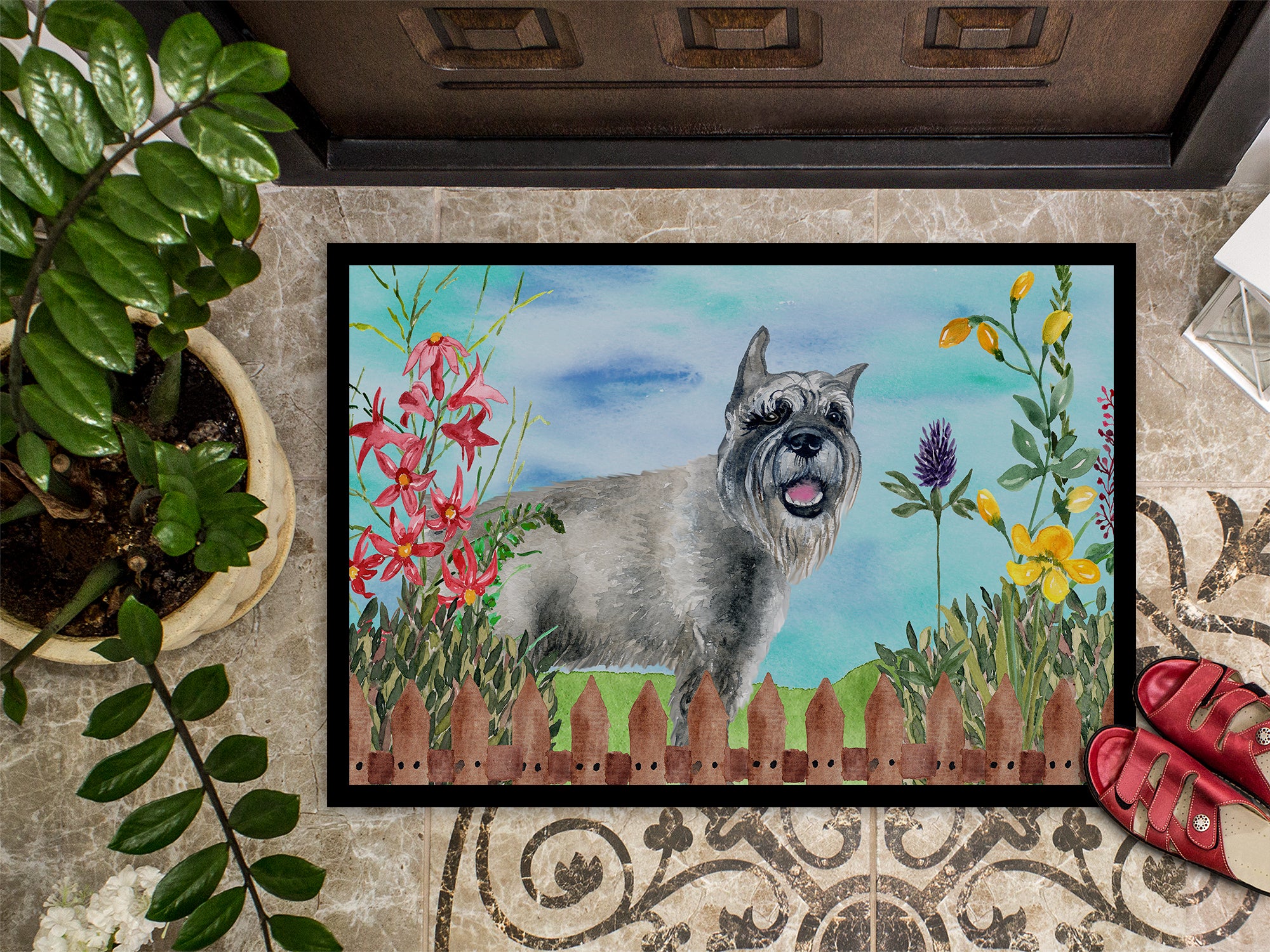 Schnauzer Spring Indoor or Outdoor Mat 18x27 CK1224MAT - the-store.com