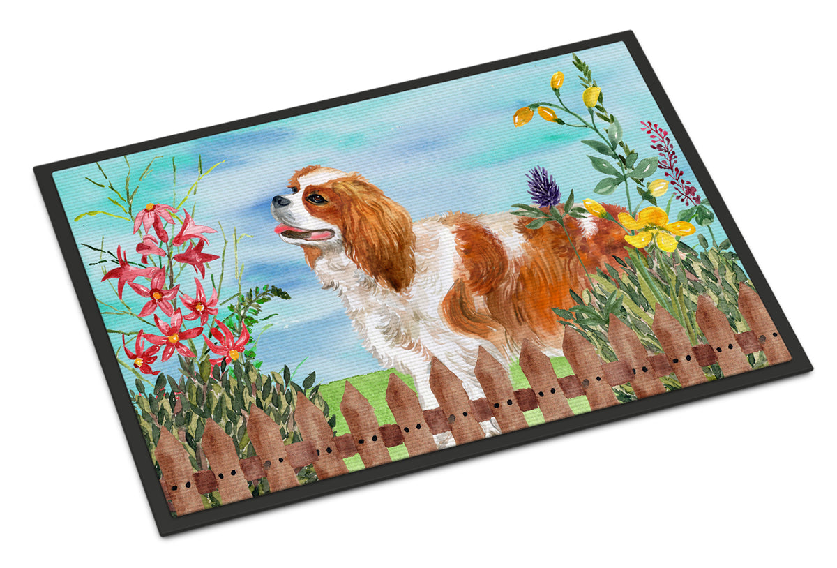 Cavalier Spaniel Spring Indoor or Outdoor Mat 18x27 CK1225MAT - the-store.com