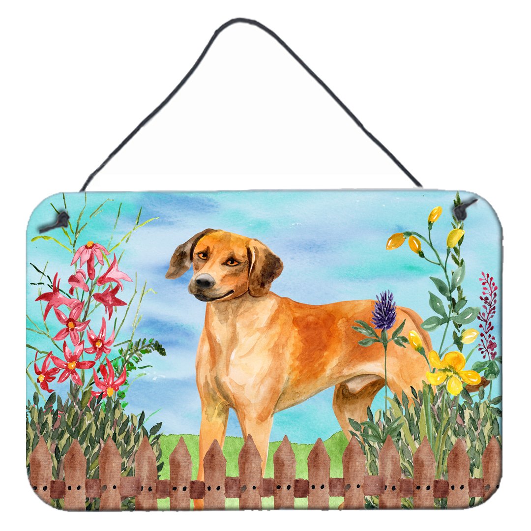 Rhodesian Ridgeback Spring Wall or Door Hanging Prints CK1238DS812 by Caroline's Treasures