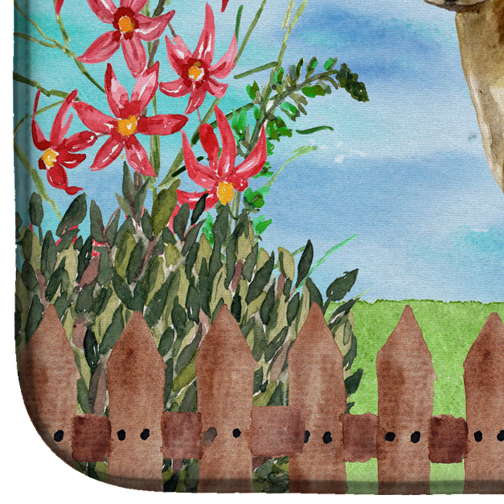 Thai Ridgeback Spring Dish Drying Mat CK1242DDM  the-store.com.