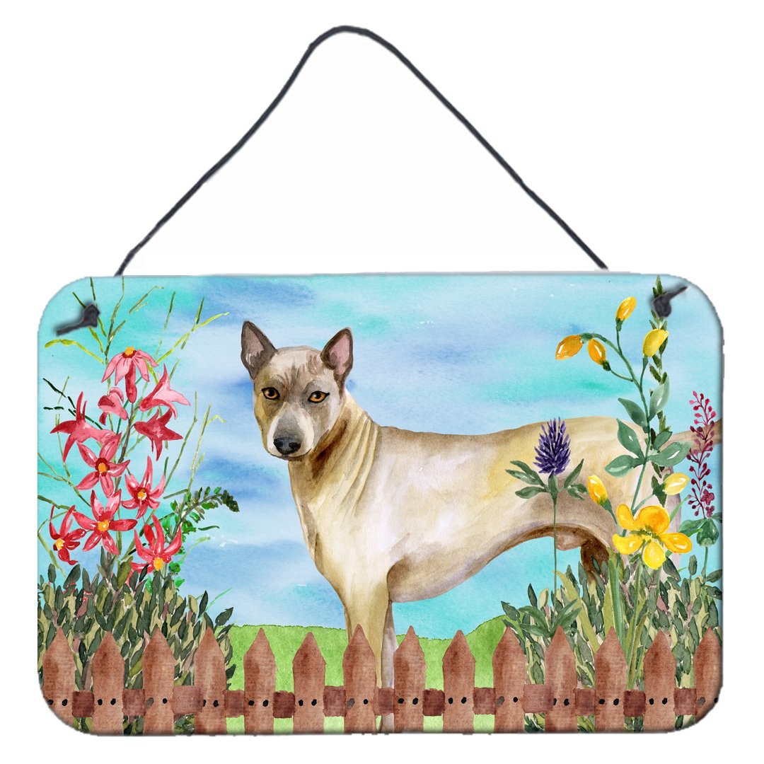 Thai Ridgeback Spring Wall or Door Hanging Prints CK1242DS812 by Caroline's Treasures