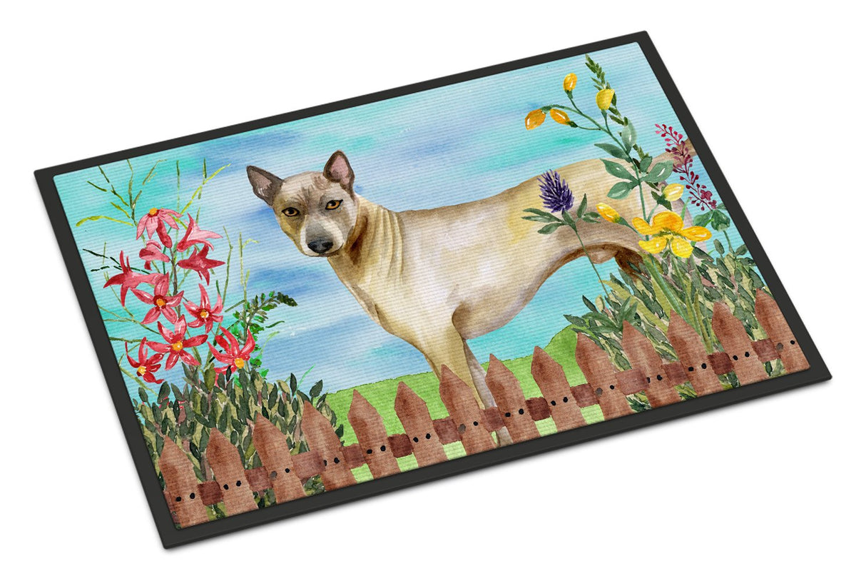 Thai Ridgeback Spring Indoor or Outdoor Mat 24x36 CK1242JMAT by Caroline&#39;s Treasures