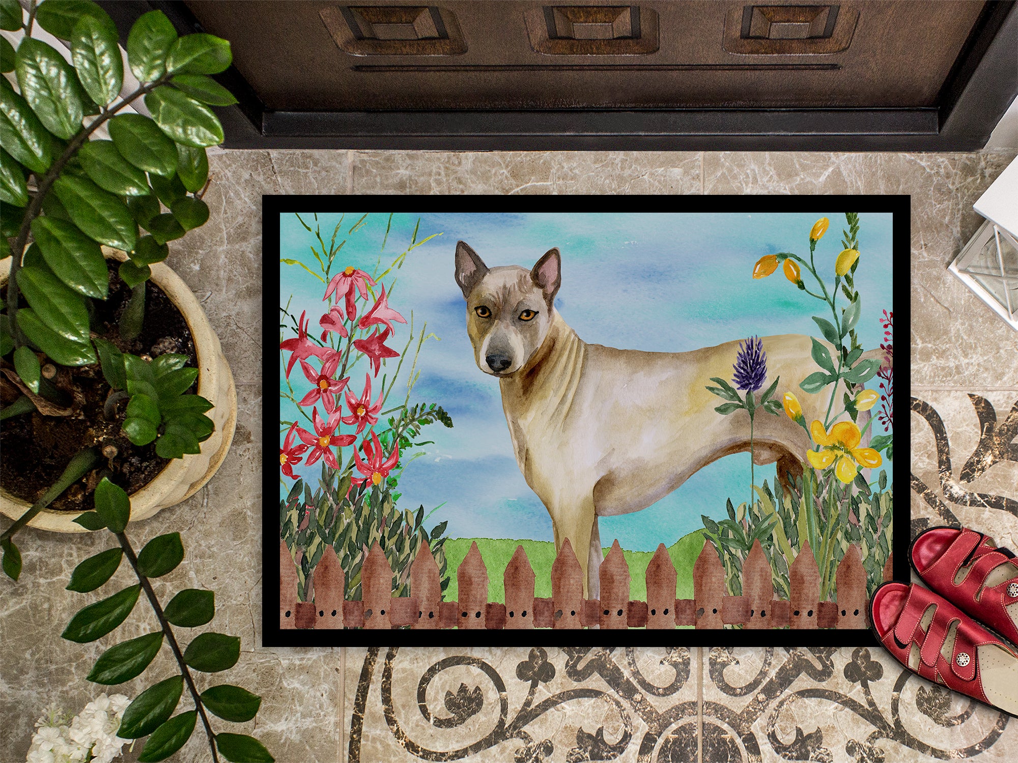 Thai Ridgeback Spring Indoor or Outdoor Mat 18x27 CK1242MAT - the-store.com