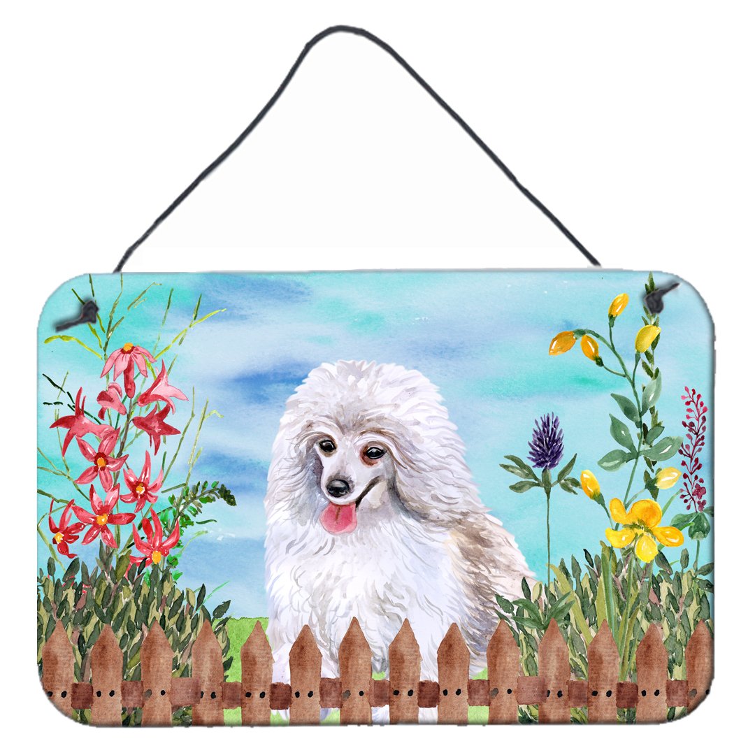 Medium White Poodle Spring Wall or Door Hanging Prints CK1245DS812 by Caroline's Treasures