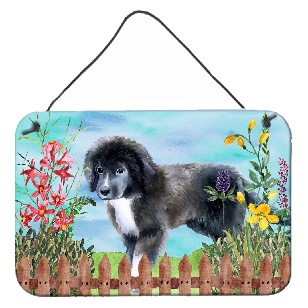 Newfoundland Puppy Spring Wall or Door Hanging Prints CK1261DS812 by Caroline's Treasures