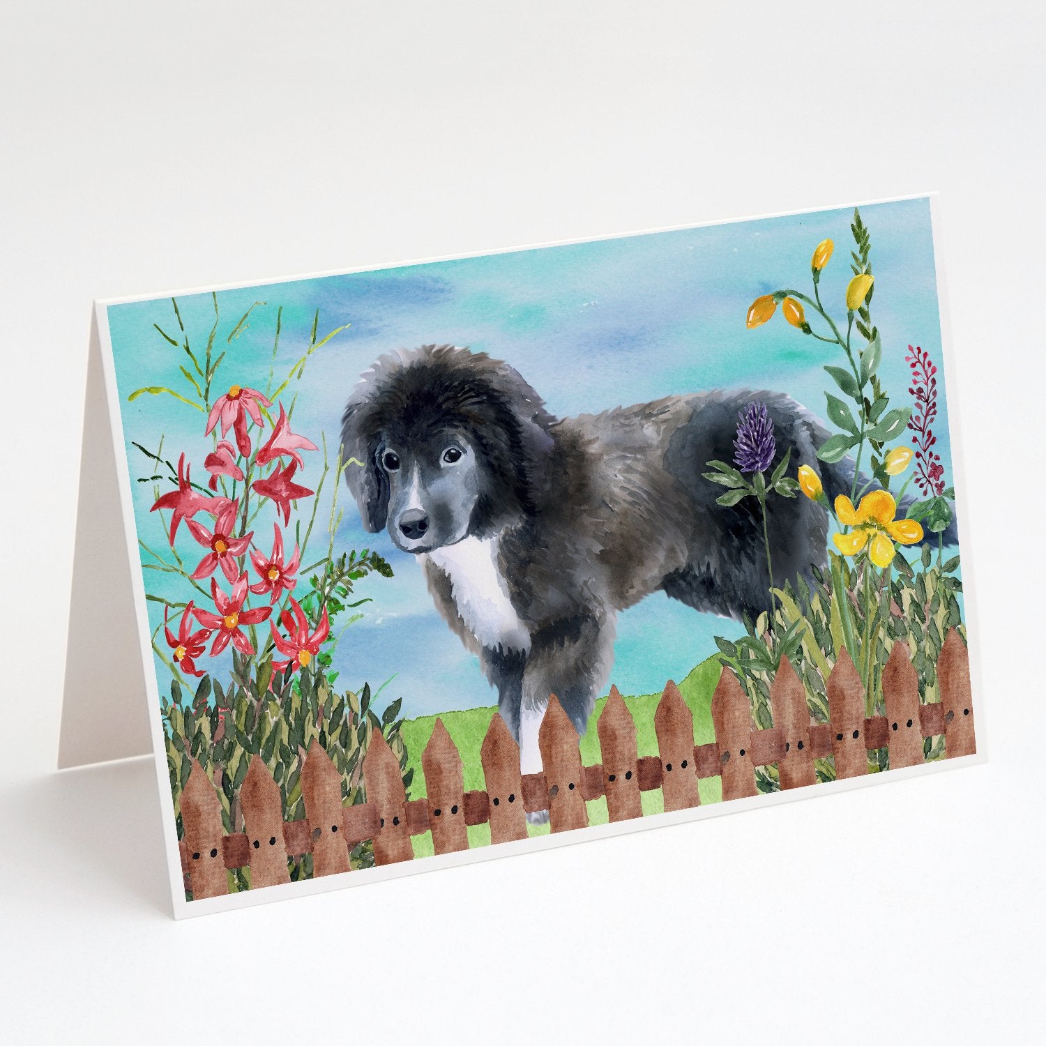 Buy this Newfoundland Puppy Spring Greeting Cards and Envelopes Pack of 8