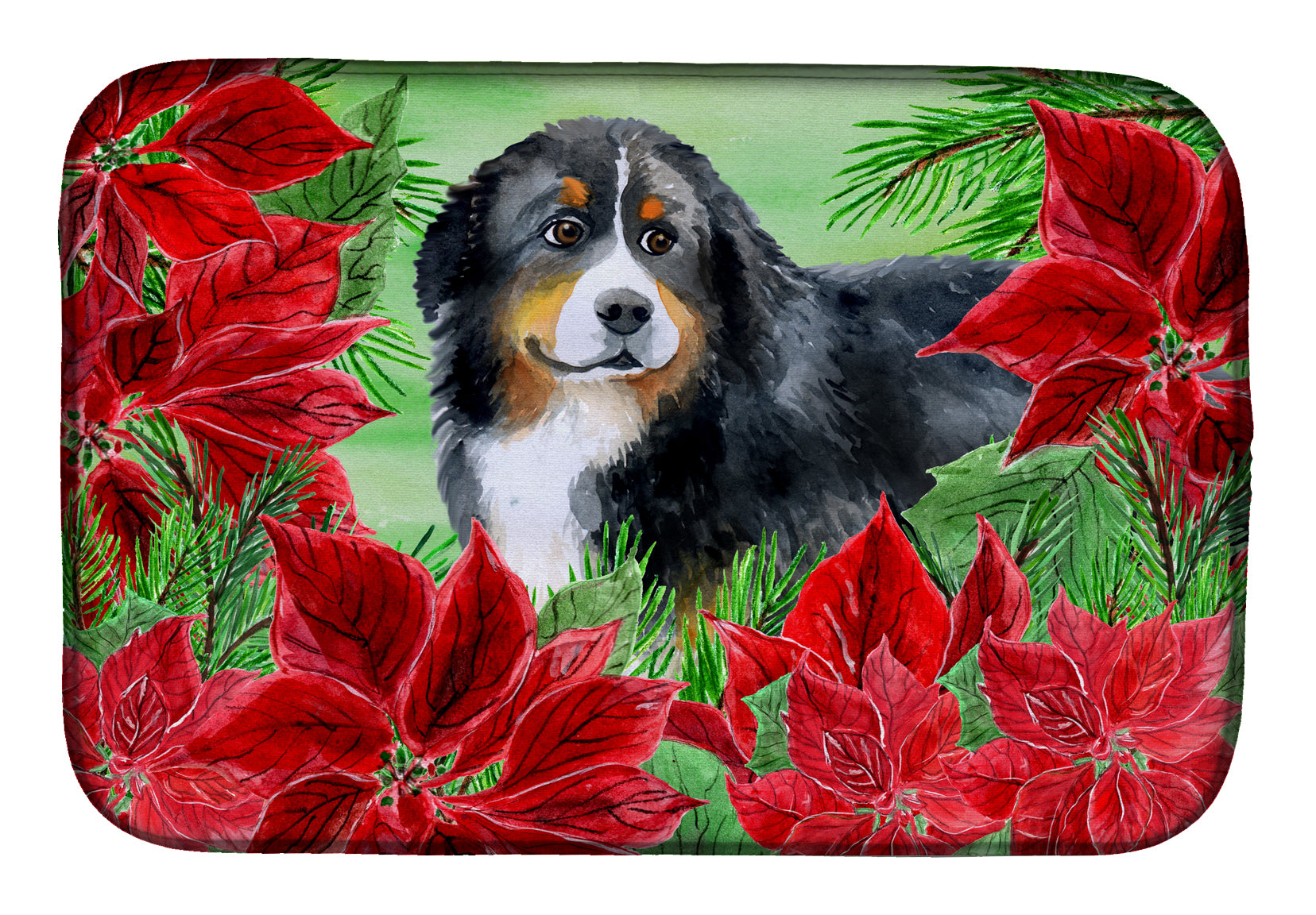 Bernese Mountain Dog Poinsettas Dish Drying Mat CK1294DDM  the-store.com.