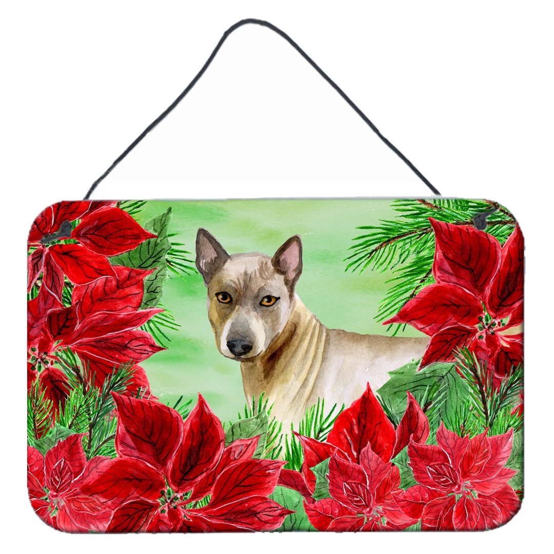 Thai Ridgeback Poinsettas Wall or Door Hanging Prints CK1328DS812 by Caroline&#39;s Treasures