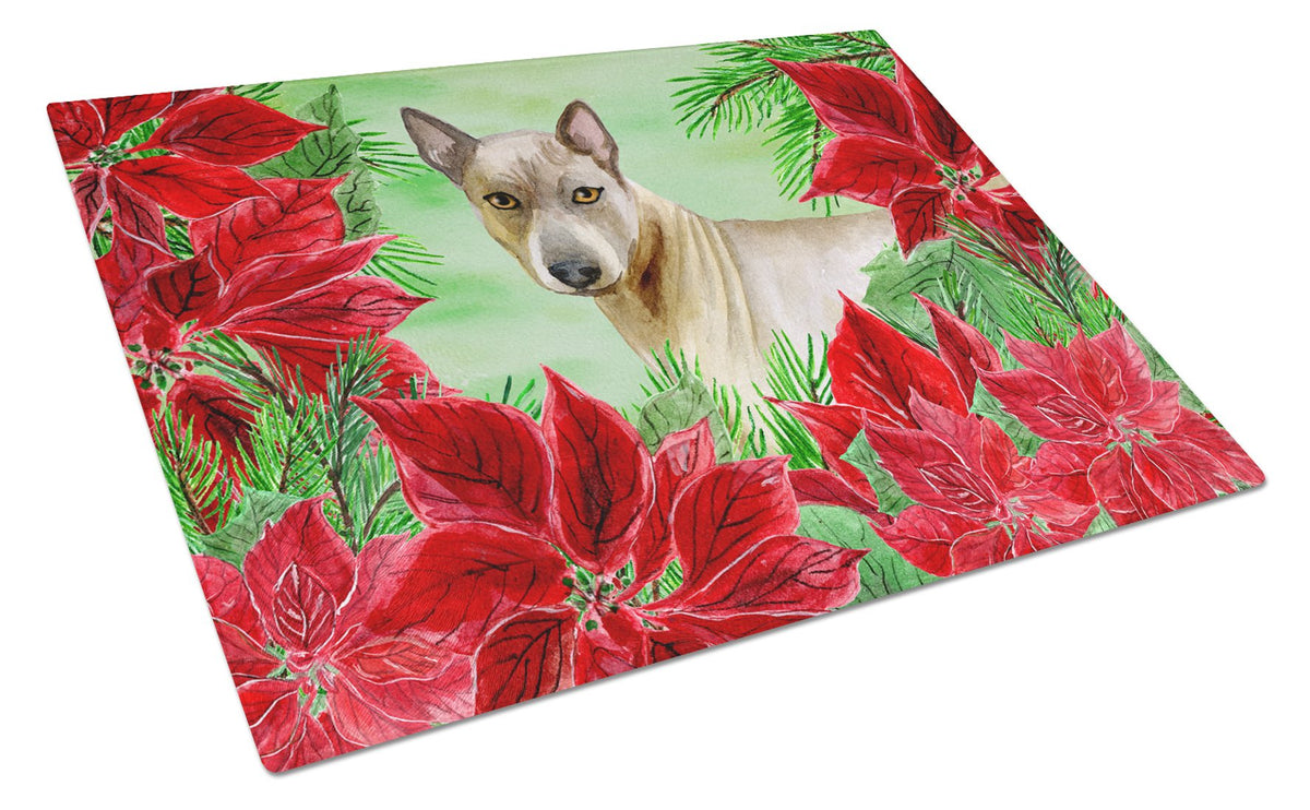 Thai Ridgeback Poinsettas Glass Cutting Board Large CK1328LCB by Caroline&#39;s Treasures