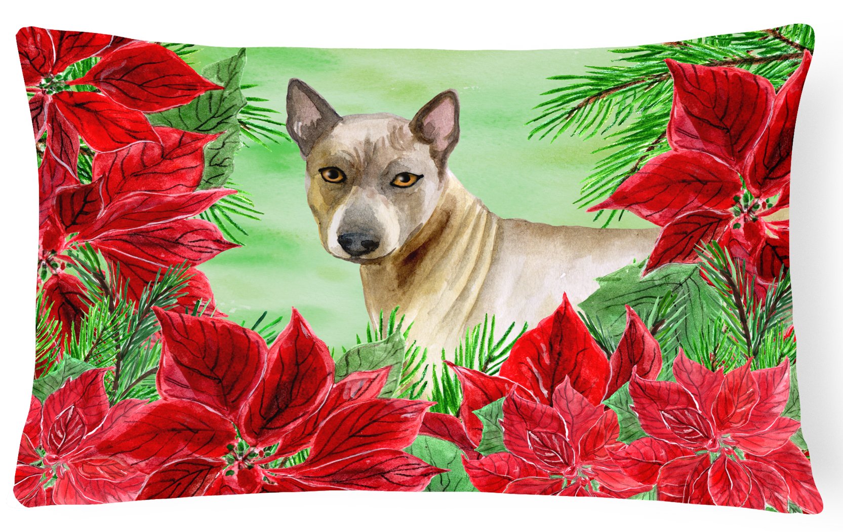 Thai Ridgeback Poinsettas Canvas Fabric Decorative Pillow CK1328PW1216 by Caroline's Treasures