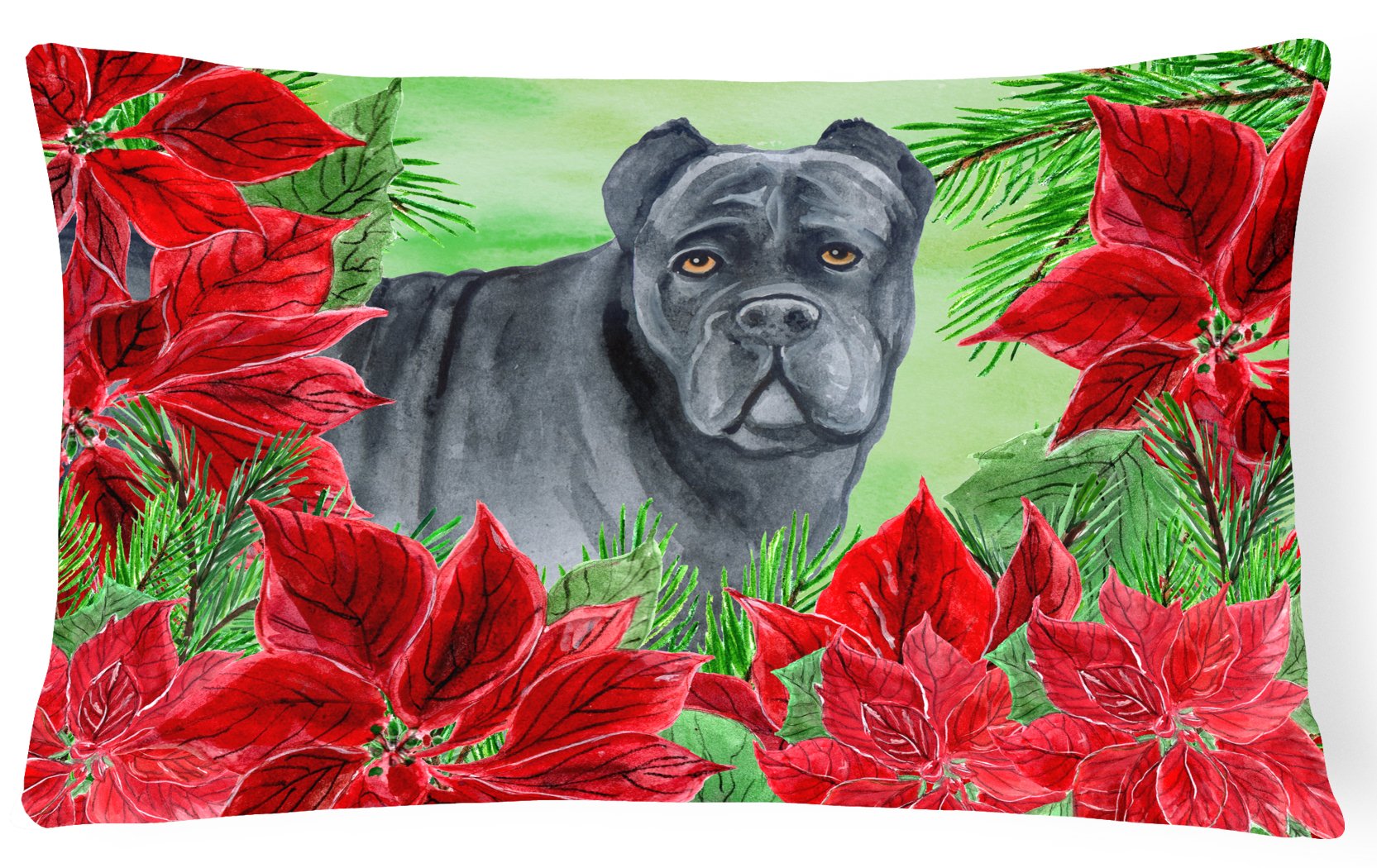 Cane Corso Poinsettas Canvas Fabric Decorative Pillow CK1342PW1216 by Caroline's Treasures