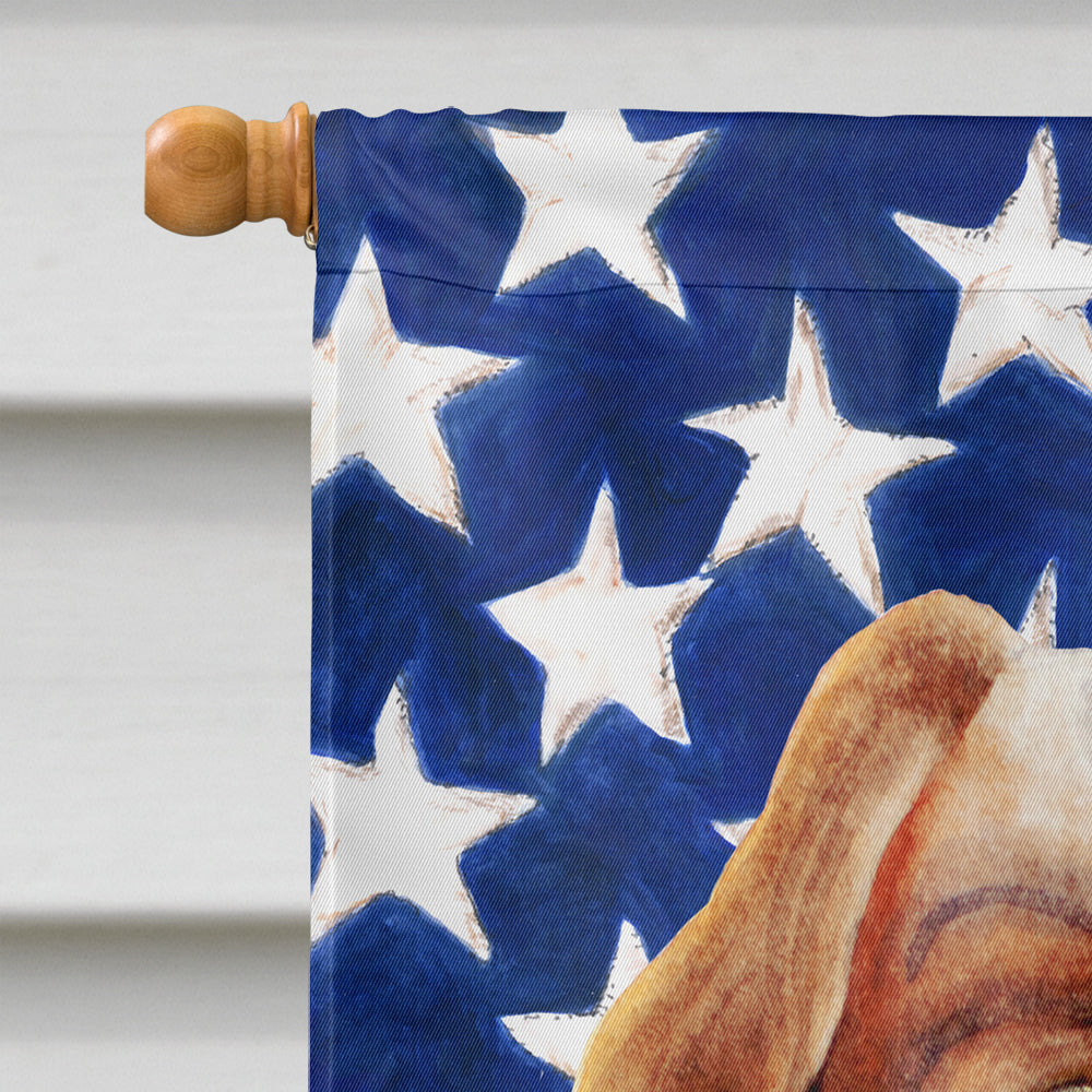 Cavalier Spaniel Patriotic Flag Canvas House Size CK1384CHF  the-store.com.