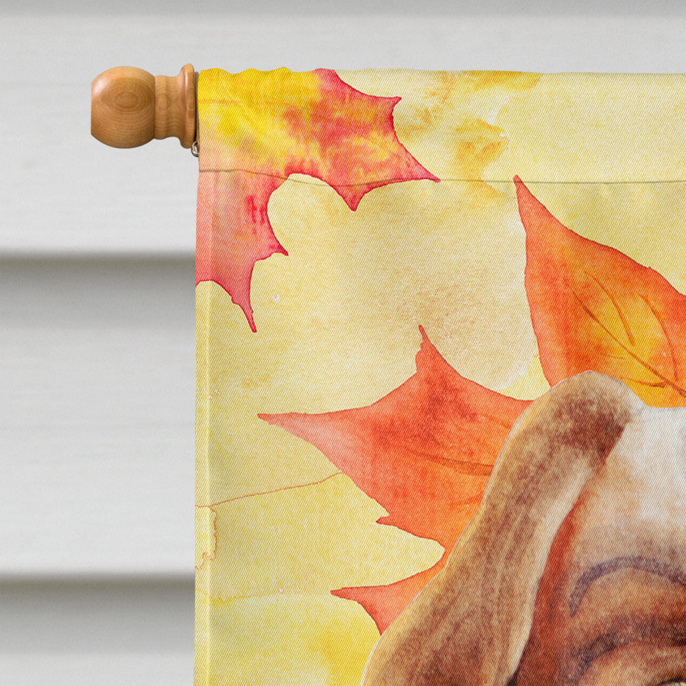 Cavalier Spaniel Fall Flag Canvas House Size CK1405CHF  the-store.com.