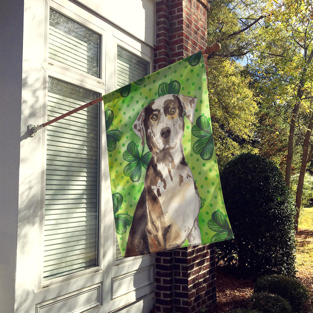 Shamrocks Catahoula Leopard Dog Flag Canvas House Size CK1808CHF  the-store.com.