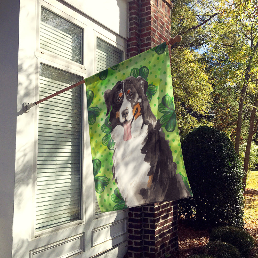 Shamrocks Bernese Mountain Dog Flag Canvas House Size CK1815CHF  the-store.com.