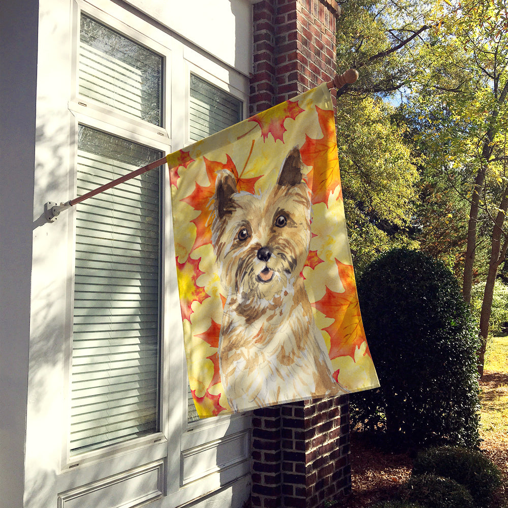 Fall Leaves Cairn Terrier Flag Canvas House Size CK1846CHF  the-store.com.