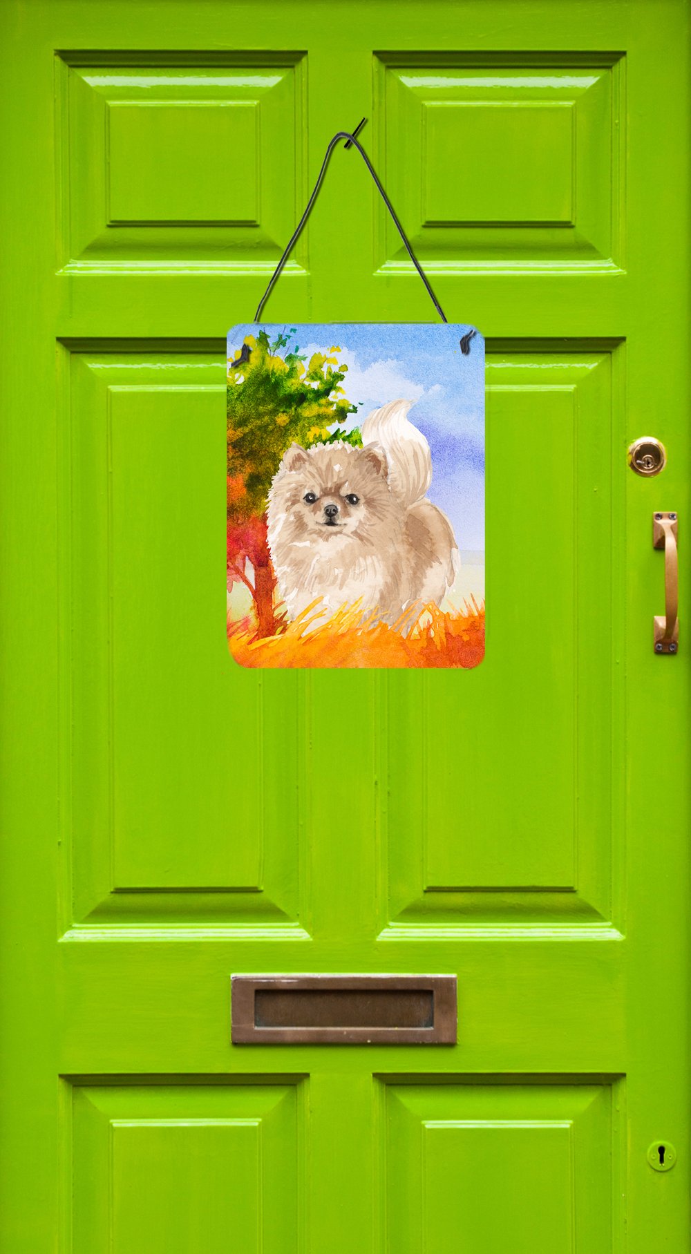 Fall Pomeranian Wall or Door Hanging Prints CK1935DS1216 by Caroline's Treasures