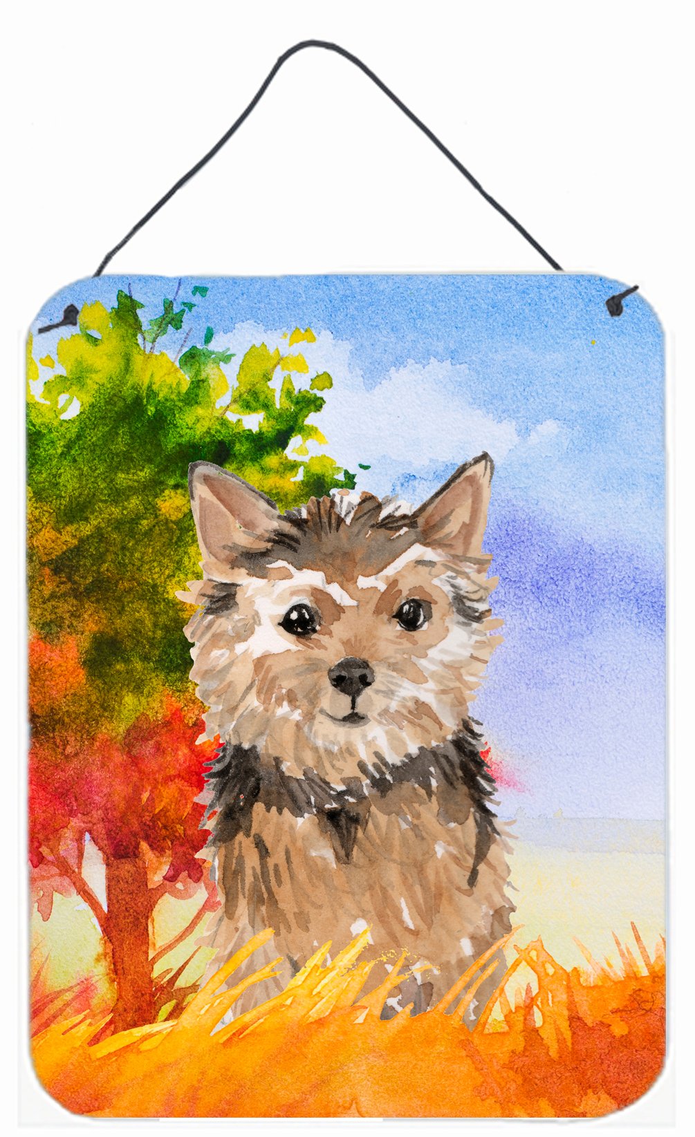 Fall Norwich Terrier Wall or Door Hanging Prints CK1936DS1216 by Caroline&#39;s Treasures