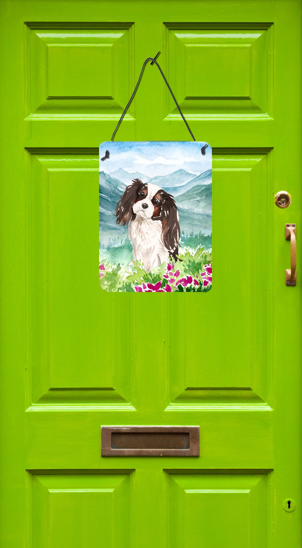 Mountian Flowers Tricolor Cavalier Spaniel Wall or Door Hanging Prints CK1966DS1216 by Caroline's Treasures