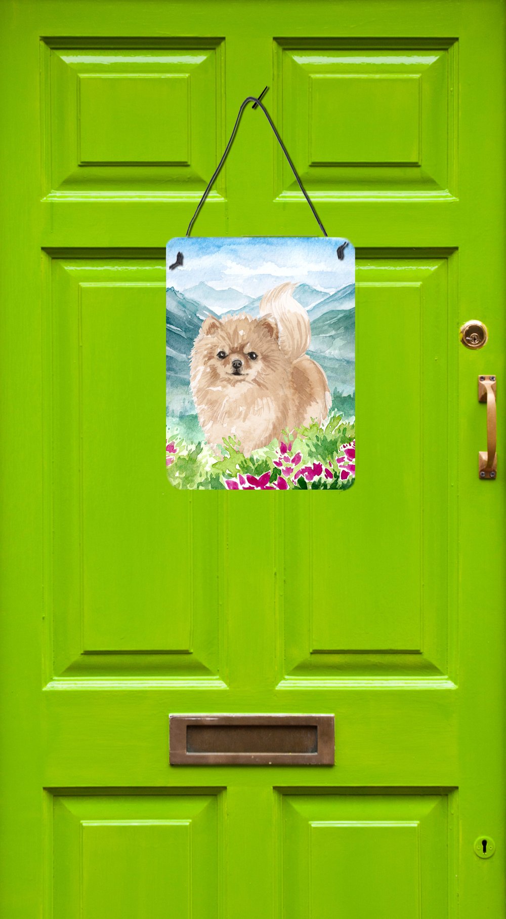 Mountian Flowers Pomeranian Wall or Door Hanging Prints CK1970DS1216 by Caroline's Treasures