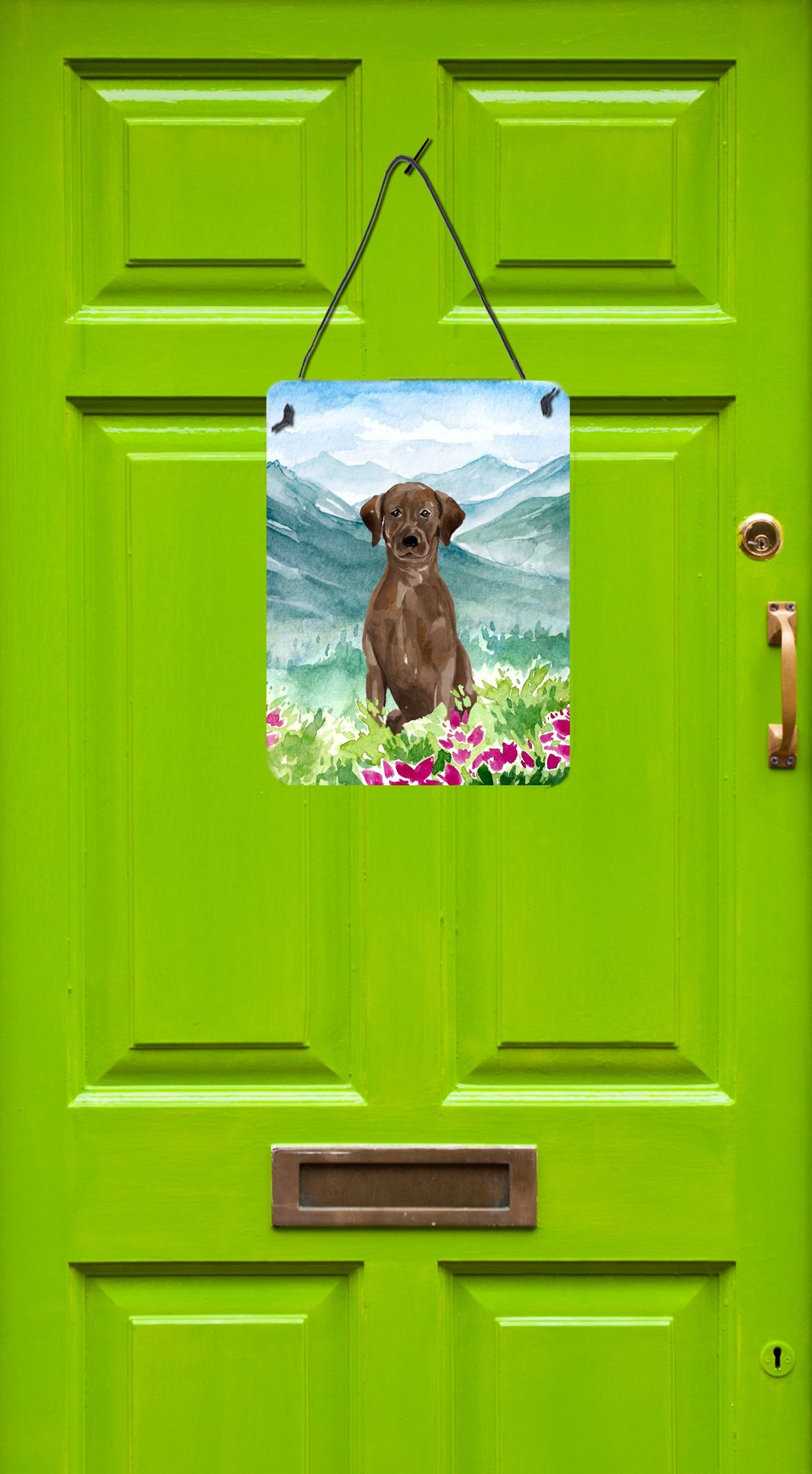 Mountian Flowers Chocolate Lab Wall or Door Hanging Prints CK1986DS1216 by Caroline's Treasures