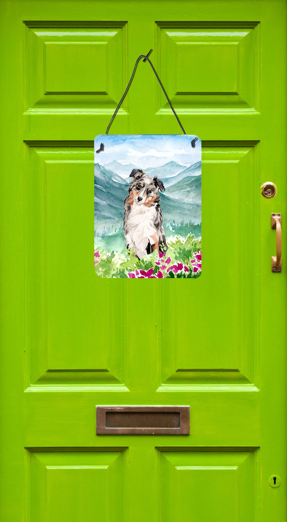 Mountian Flowers Australian Shepherd Wall or Door Hanging Prints CK1995DS1216 by Caroline's Treasures