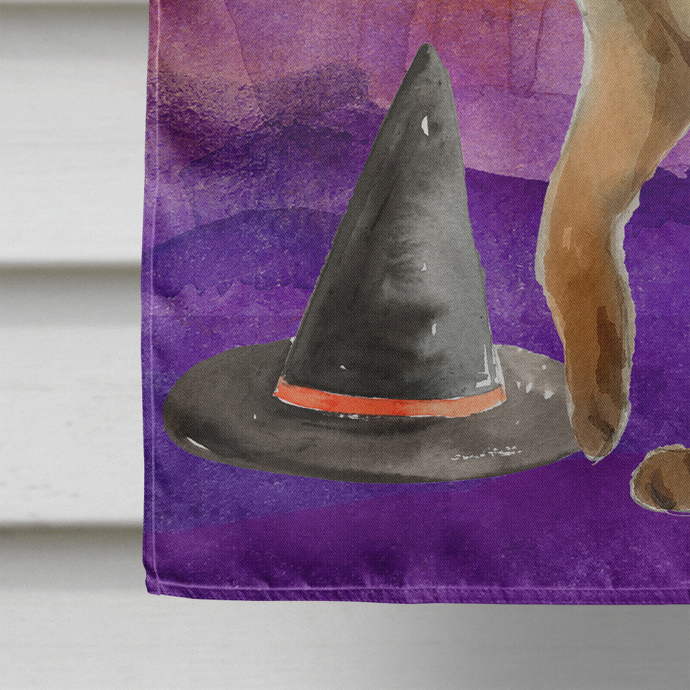 Abyssinian Halloween Flag Canvas House Size CK3177CHF  the-store.com.