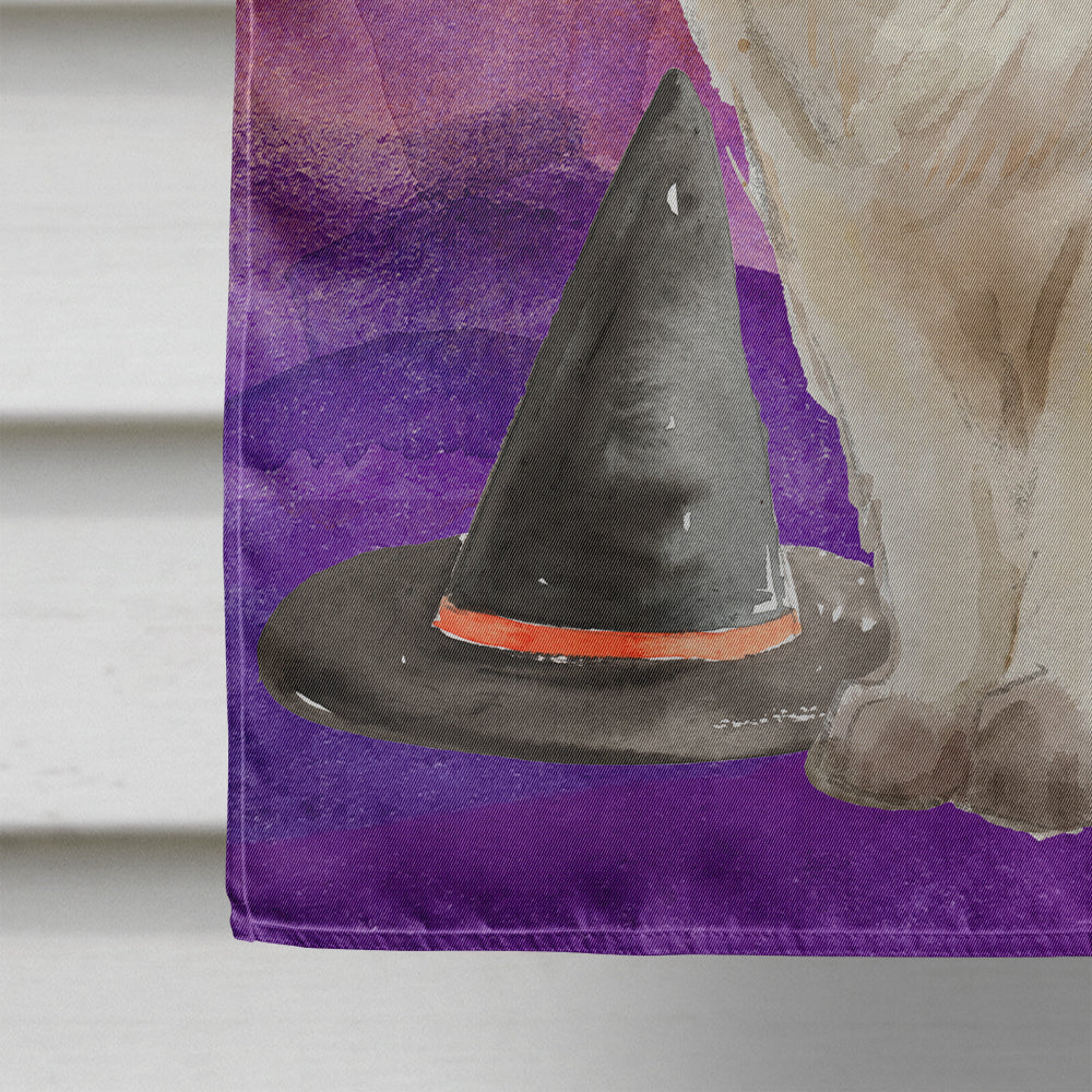 Ragdoll Halloween Flag Canvas House Size CK3187CHF  the-store.com.