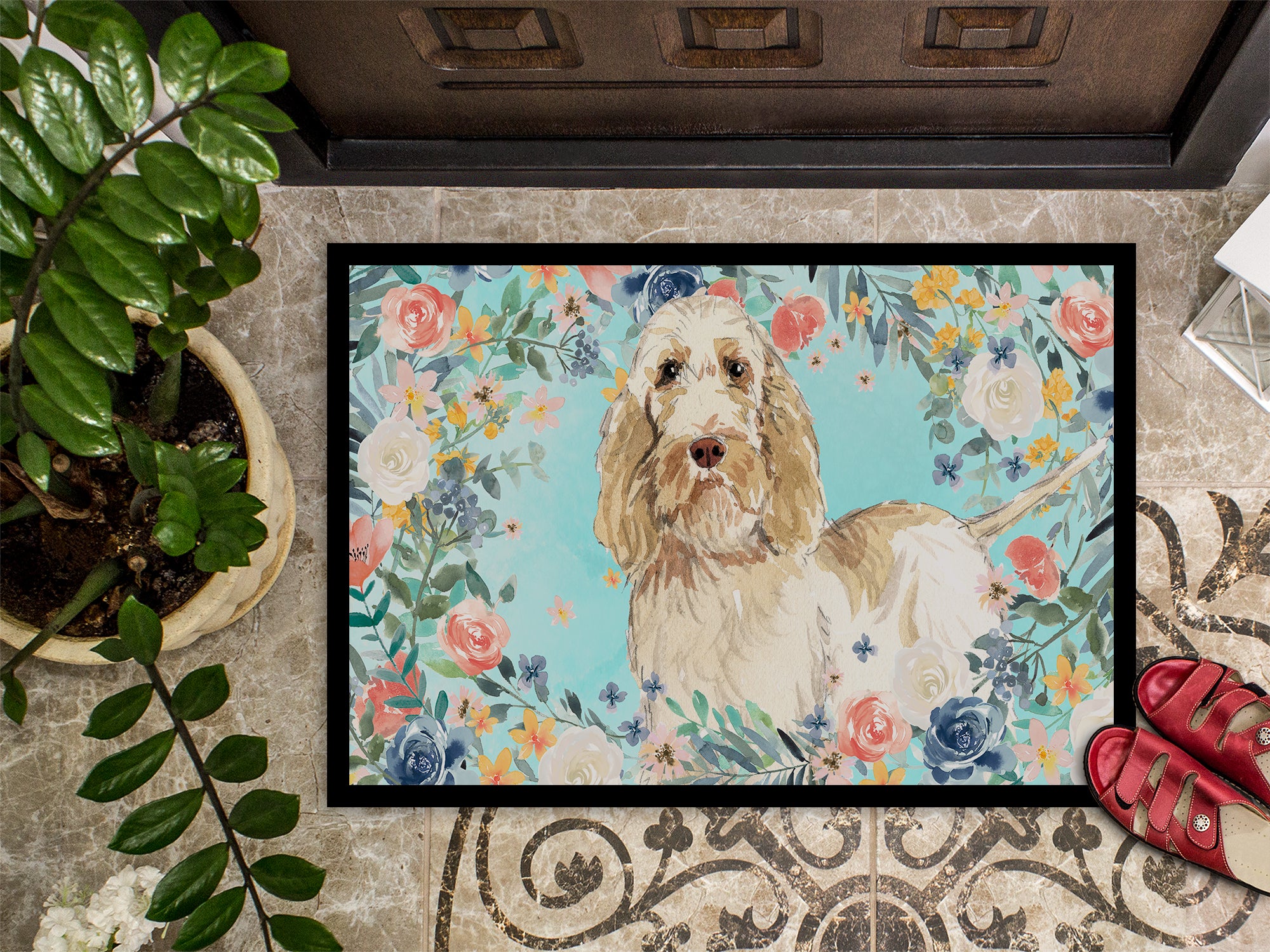 Spinone Italiano Indoor or Outdoor Mat 18x27 CK3407MAT - the-store.com