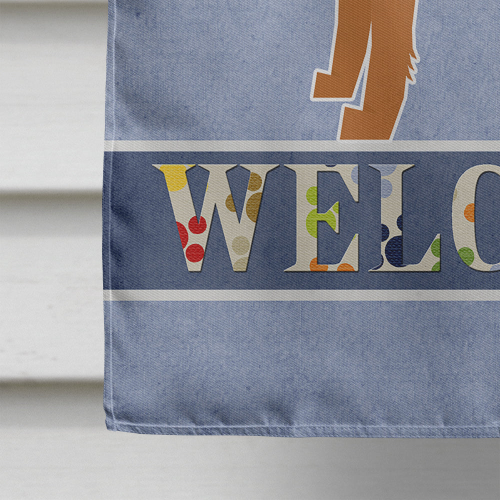 Irish Terrier Welcome Flag Canvas House Size CK3605CHF  the-store.com.