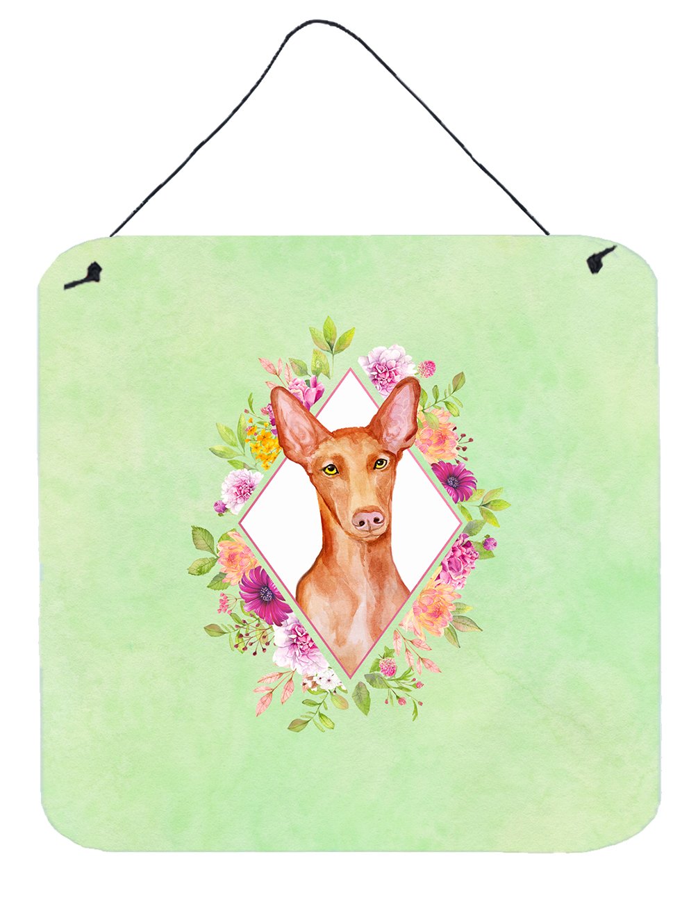 Pharaoh Hound Green Flowers Wall or Door Hanging Prints CK4328DS66 by Caroline's Treasures