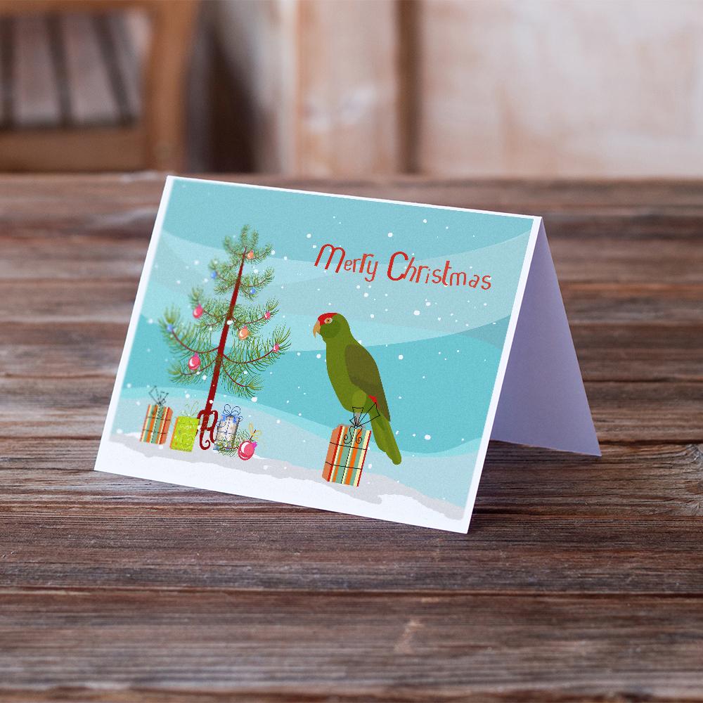 Amazon Parrot Merry Christmas Greeting Cards and Envelopes Pack of 8 - the-store.com