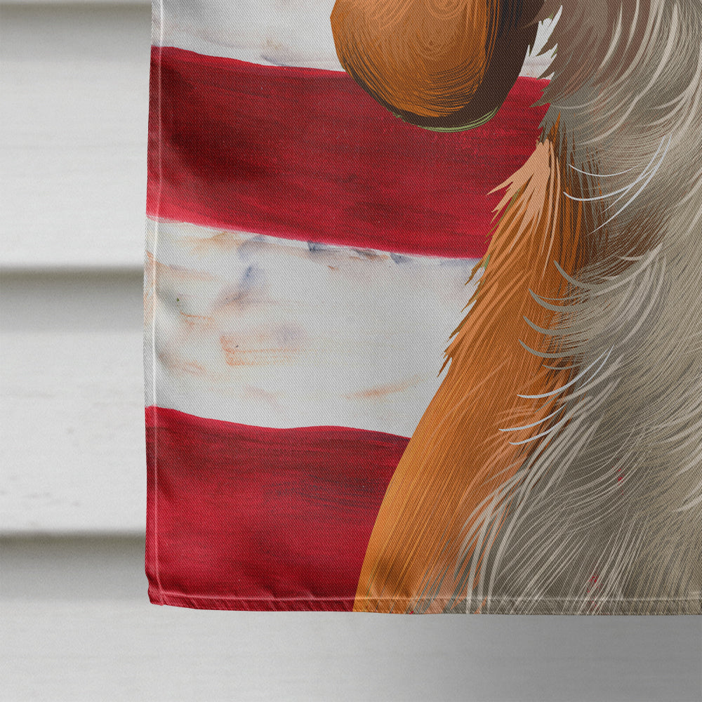 American English Coonhound American Flag Flag Canvas House Size CK6397CHF  the-store.com.