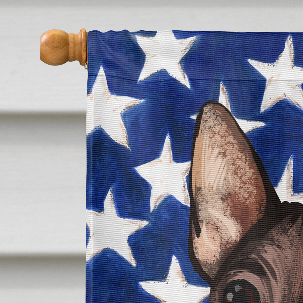 American Hairless Terrier American Flag Flag Canvas House Size CK6400CHF  the-store.com.