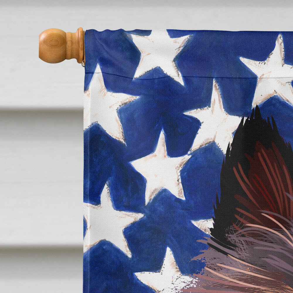 Belgian Tervuren American Flag Flag Canvas House Size CK6429CHF  the-store.com.