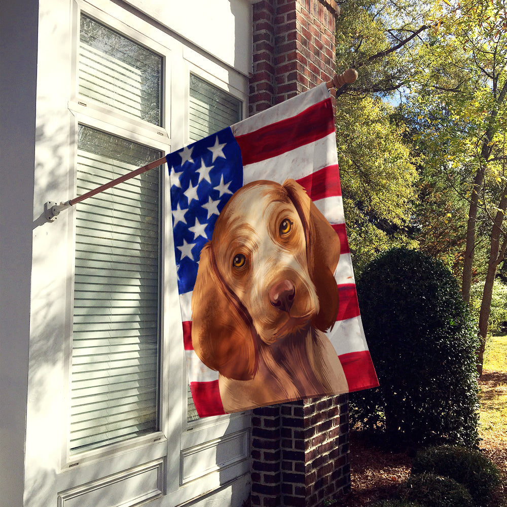 Bracco Italiano Dog American Flag Flag Canvas House Size CK6456CHF  the-store.com.