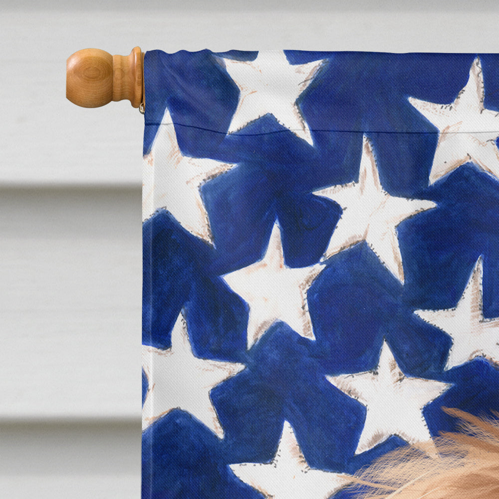 Briard Dog American Flag Flag Canvas House Size CK6461CHF  the-store.com.