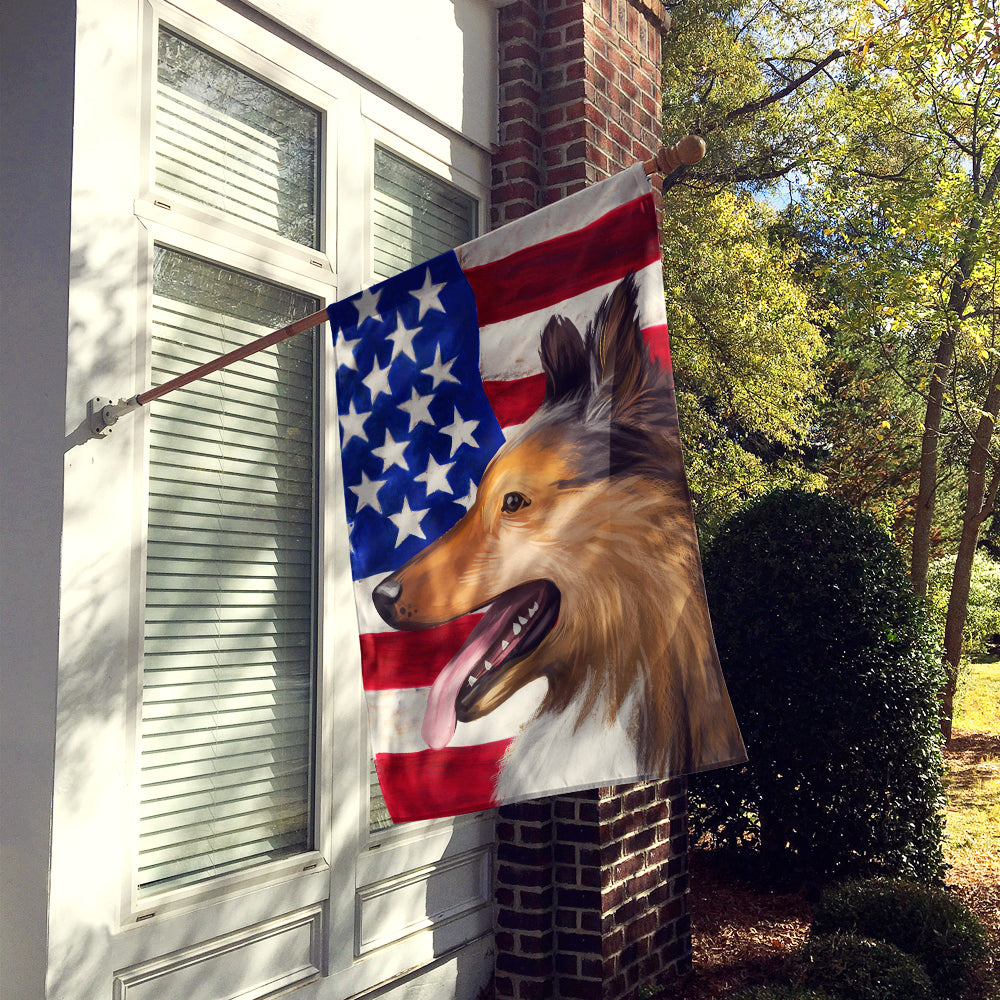 Collie Smooth Dog American Flag Flag Canvas House Size CK6493CHF  the-store.com.