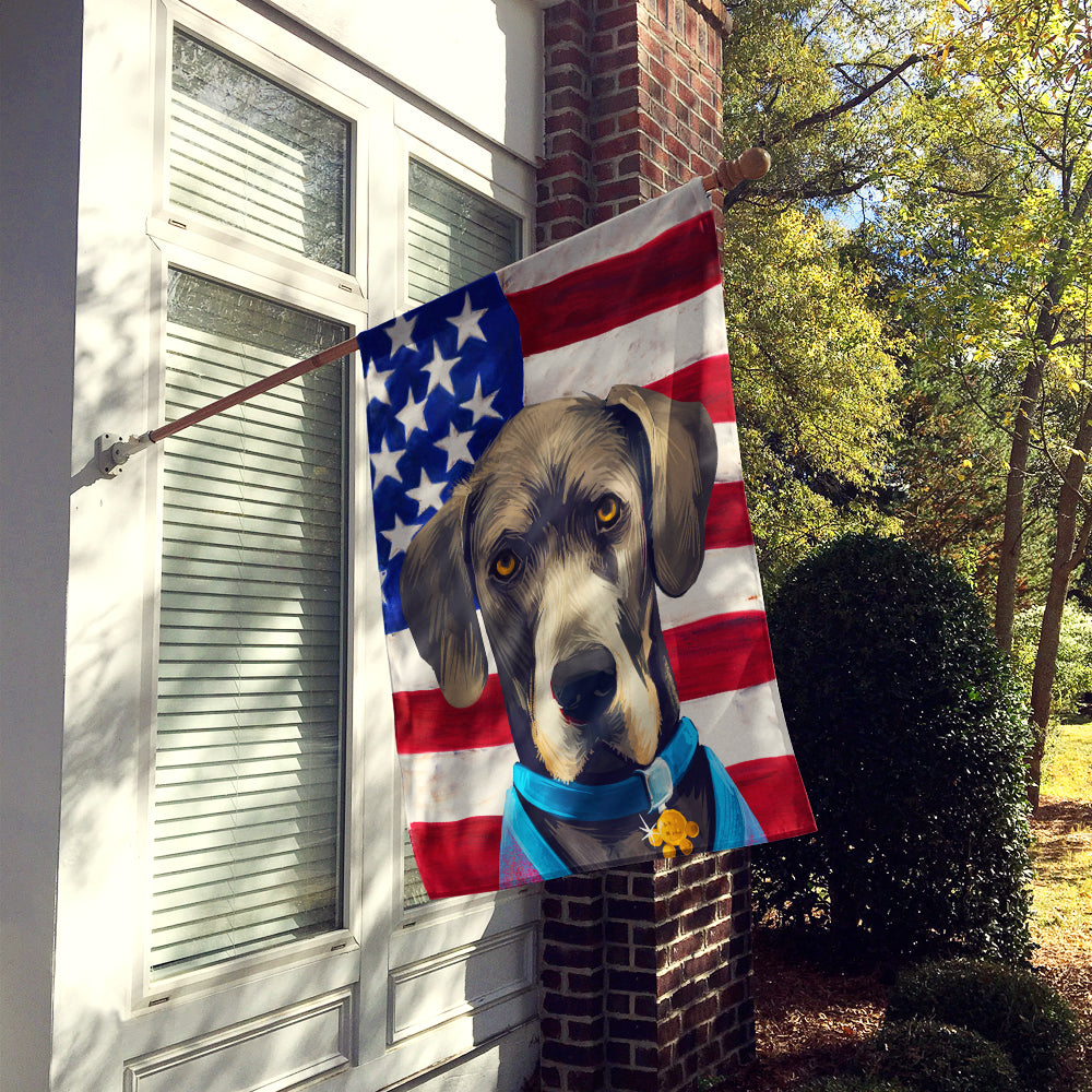 Great Dane Dog American Flag Flag Canvas House Size CK6546CHF  the-store.com.