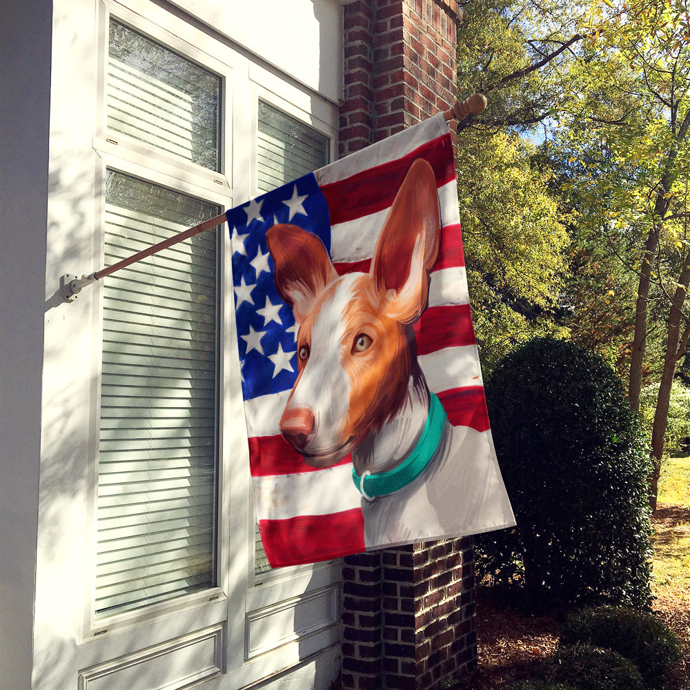 Ibizan Hound Dog American Flag Flag Canvas House Size CK6565CHF  the-store.com.